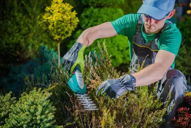 landscaping services Upper Arlington